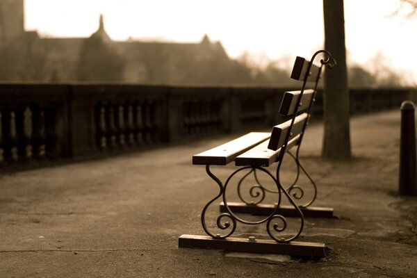 An empty bench on the embankment