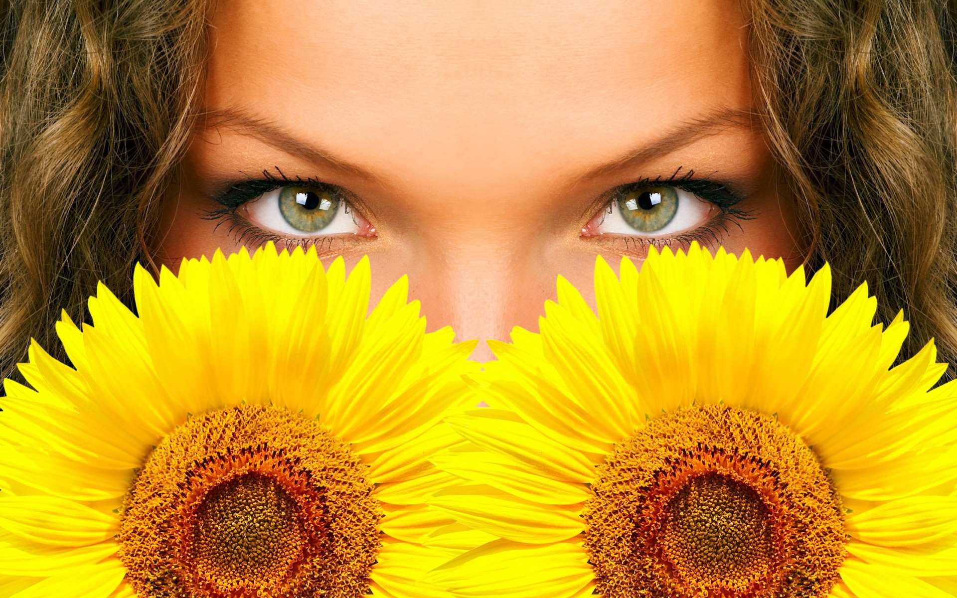 fleurs tournesol yeux