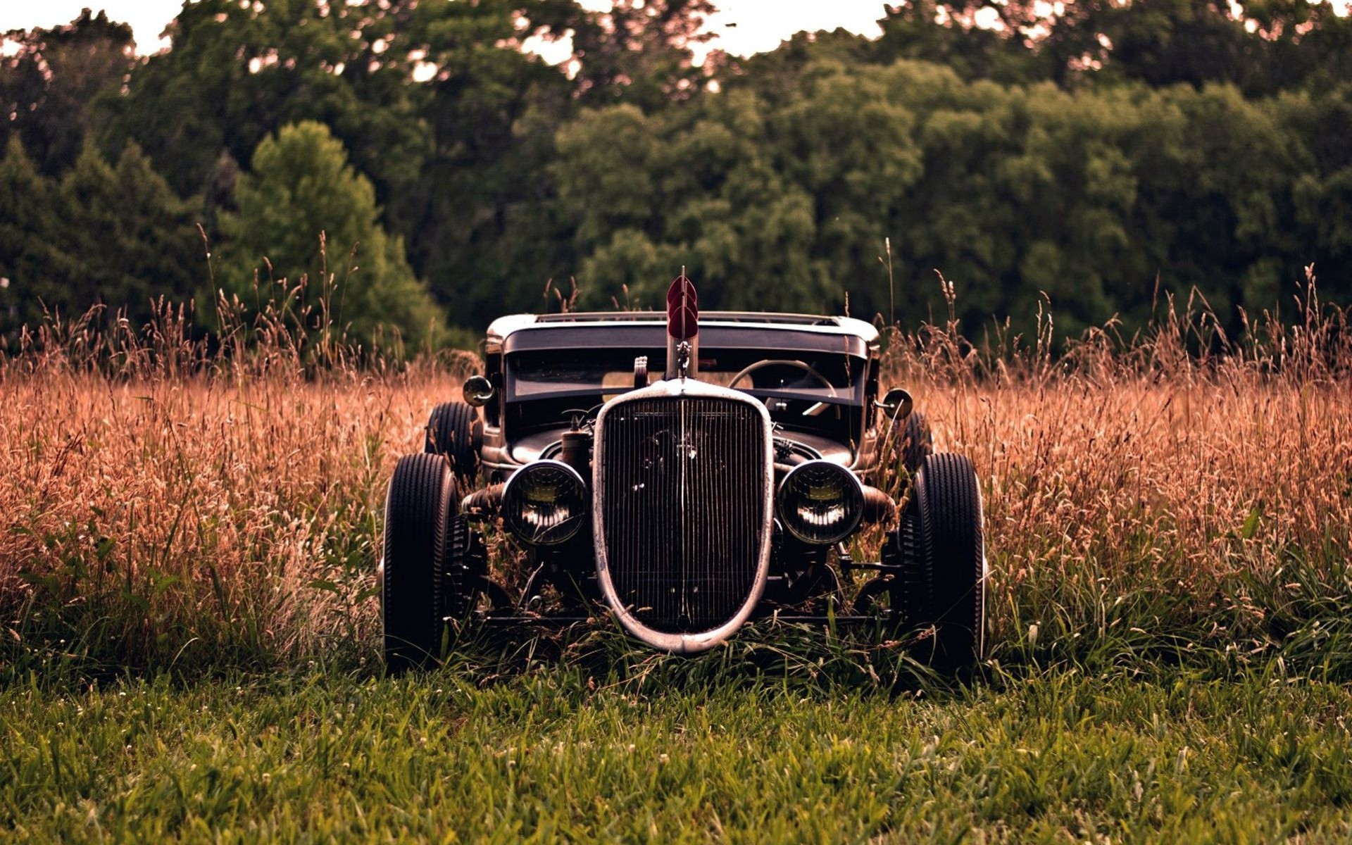 nature vieux oldtimer