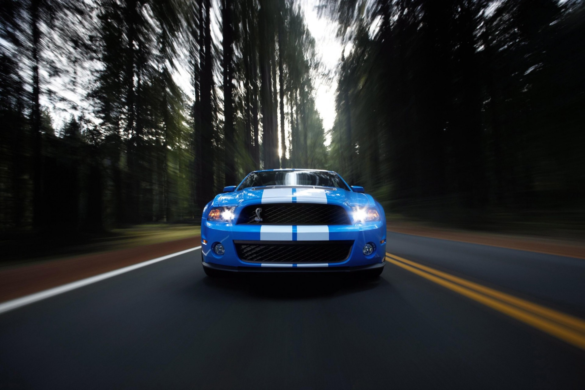 ciel ford gril route mustang nature palmiers forêt bleu voitures phares