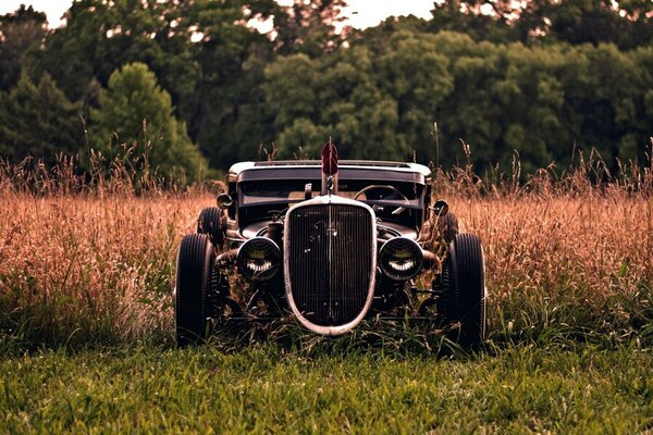 Vecchia auto in una radura nella foresta