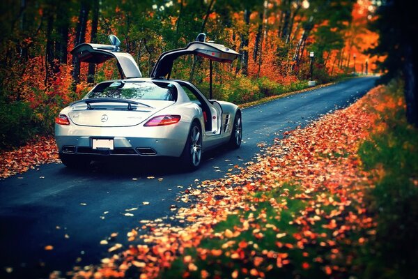 A gray car rides on a beautiful background of foliage