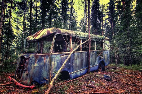 An old broken down bus in the woods