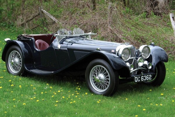 Vintage jaguar, Sport Auto 1 nel mondo