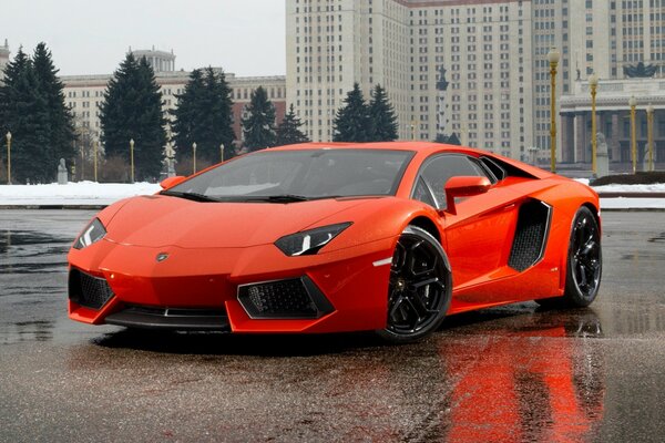 Lamborghini des Jahres 2013 – wie gemalt