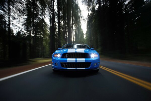 Una Ford Mustang blu vola sulla strada