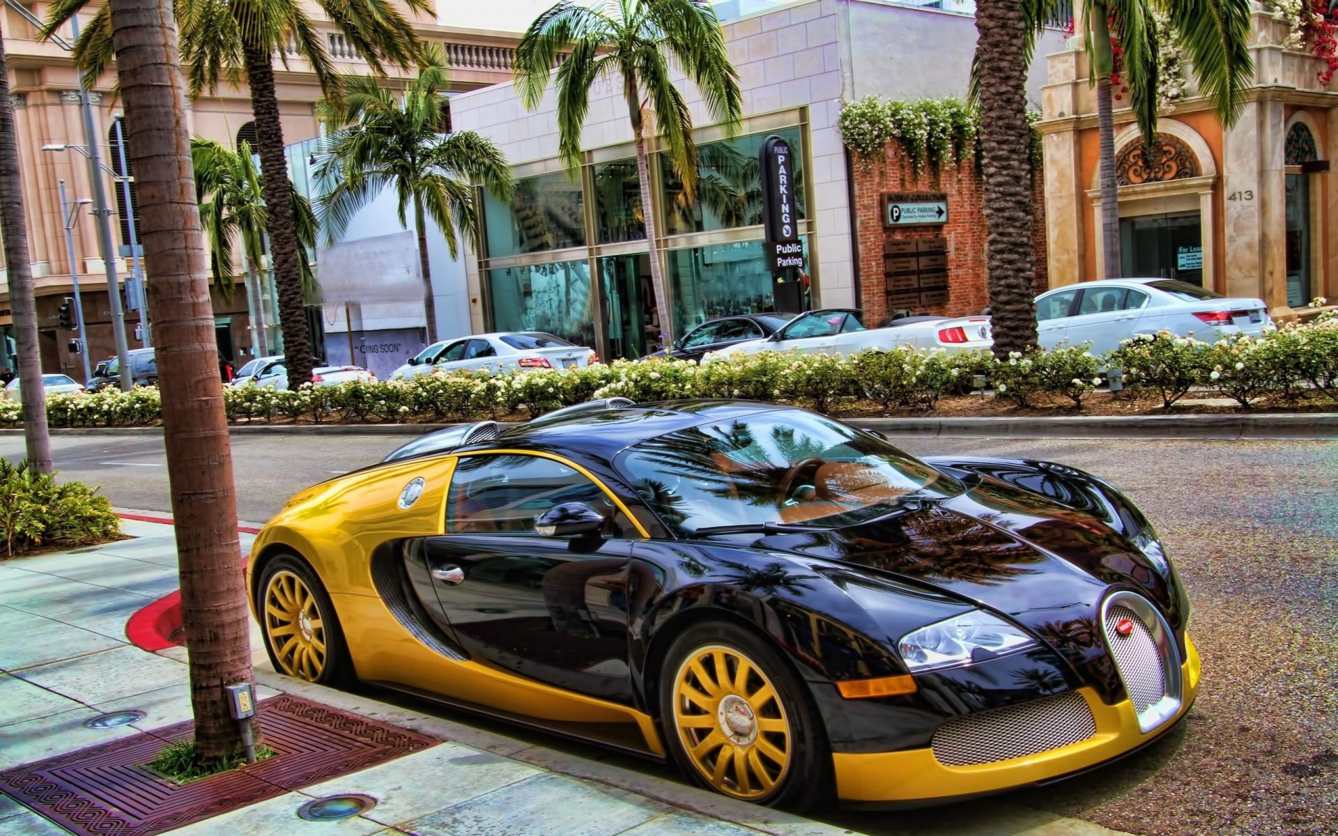 fast vehicles sports bugatti