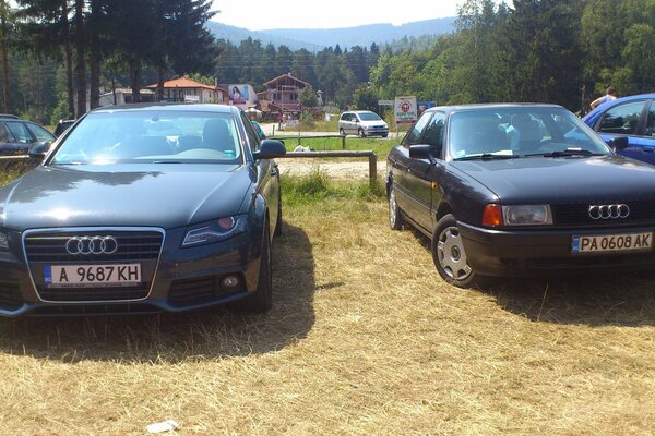 Audi cars old model in the field