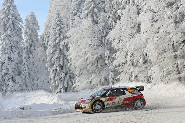 Inverno, foresta innevata e citroen ds3 sulla strada