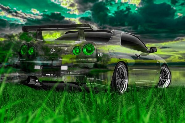 Pintado auto Nissan espejo verde en la orilla del río