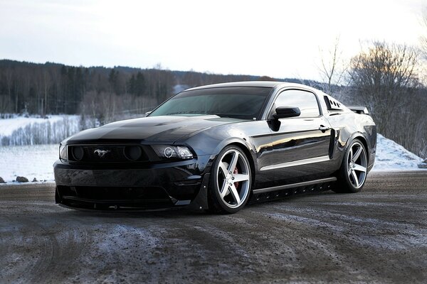 Black mustang rides fast among the woods