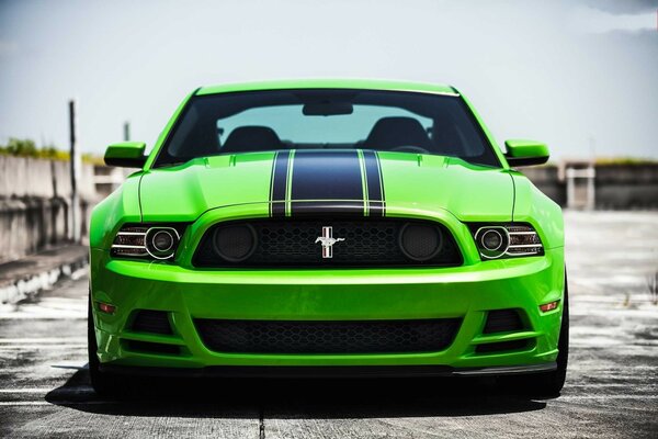 Ford Mustang jefe en la carretera