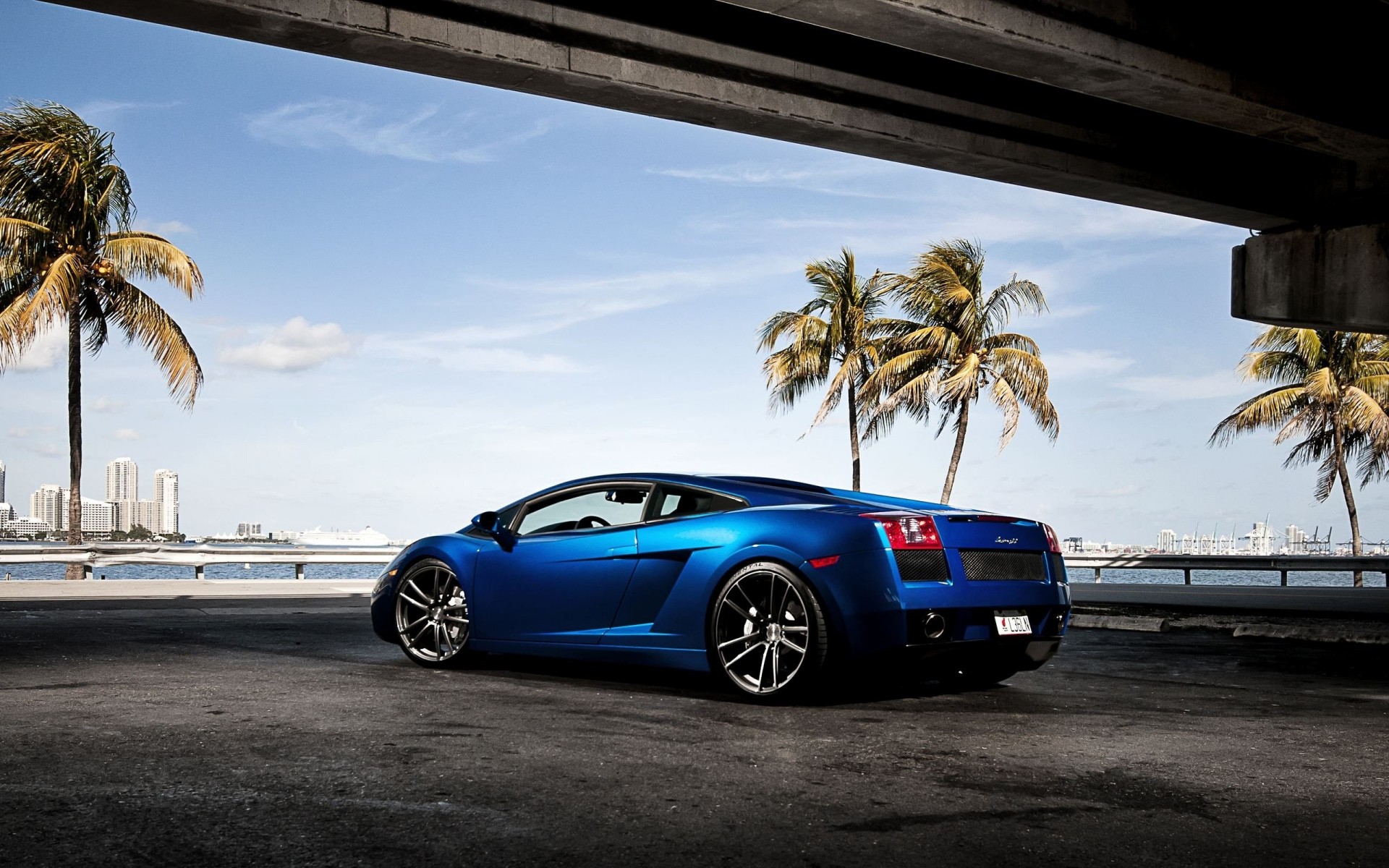 velocità alta gallardo lamborghini blu auto super car