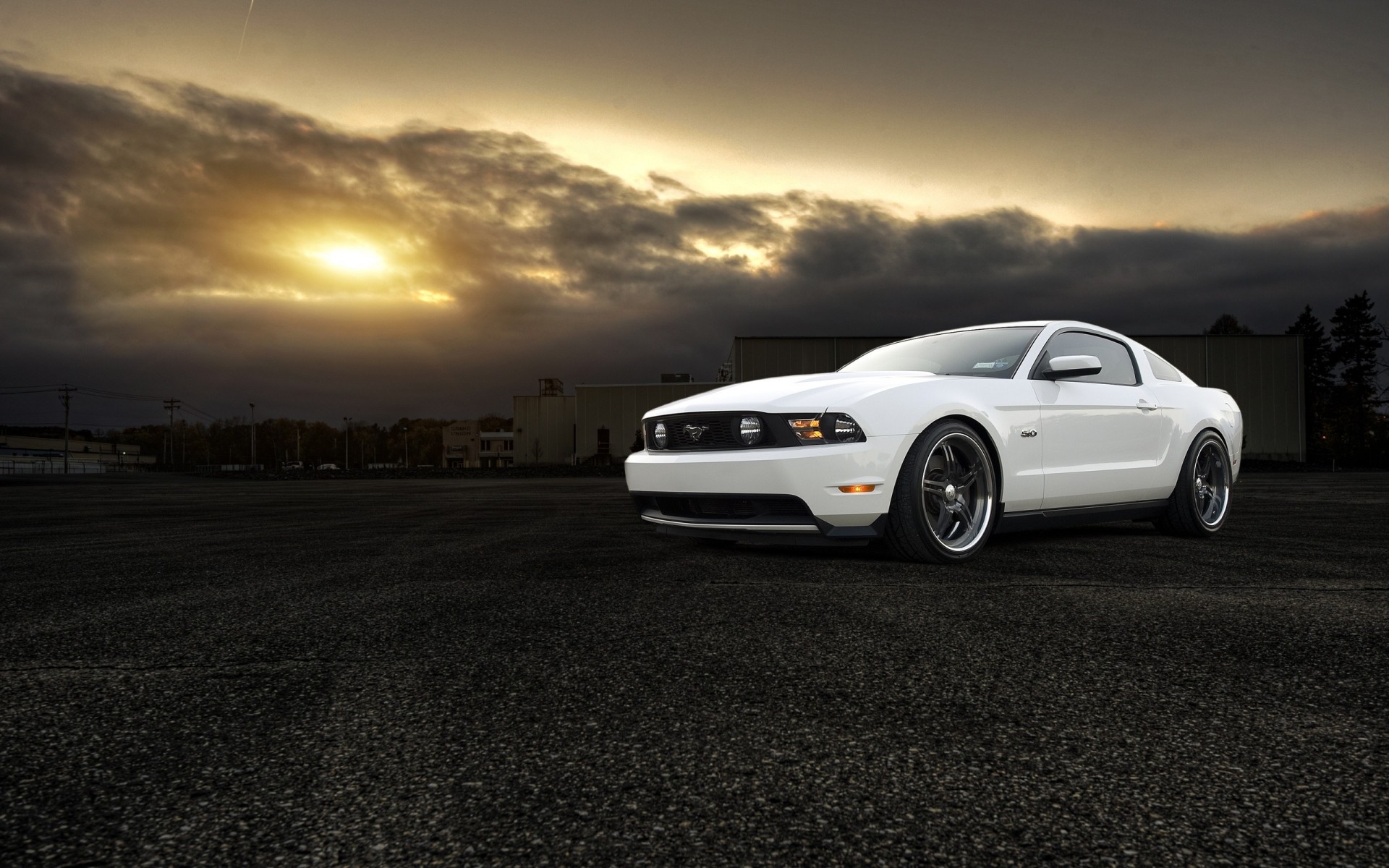 gt ford mustang weiß muscle car 5.0 front