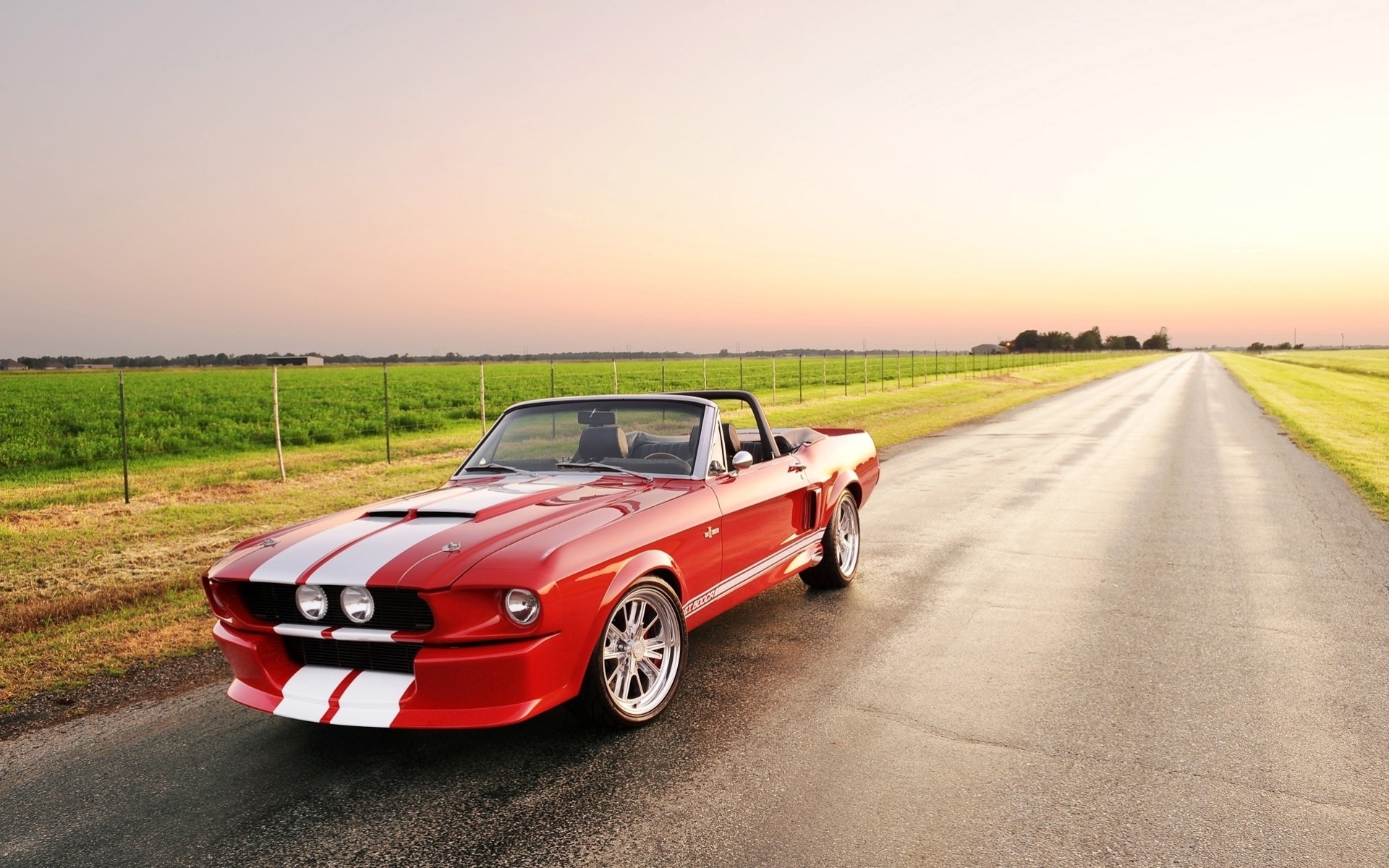 mustang coche ford ruedas