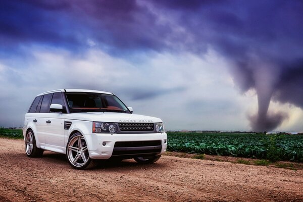 Blanco renge Rover hermoso fondo