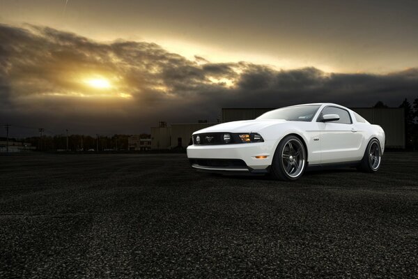 Mustang au coucher du soleil