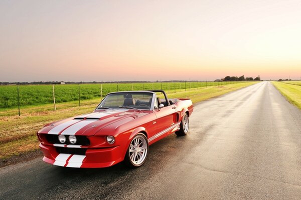 Ford Mustang; ein Klassiker der amerikanischen Autoindustrie