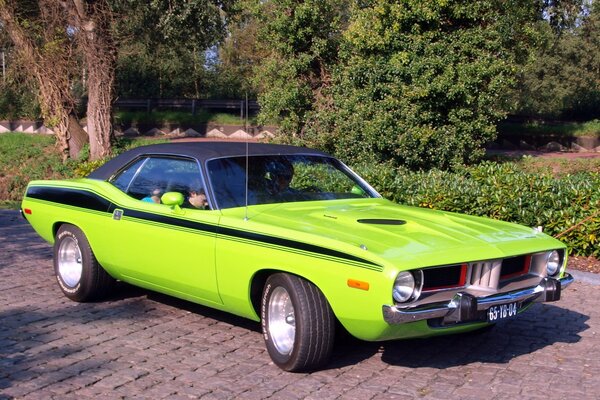 Classic Plymouth masslecar in green colors