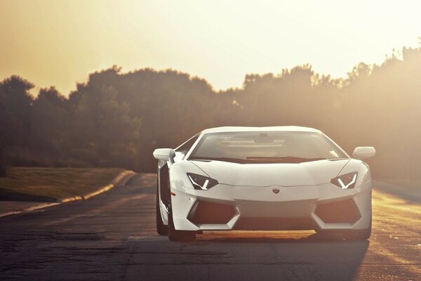 LAMBORGHINI AVENTADOR AT SUNSET ON THE HIGHWAY