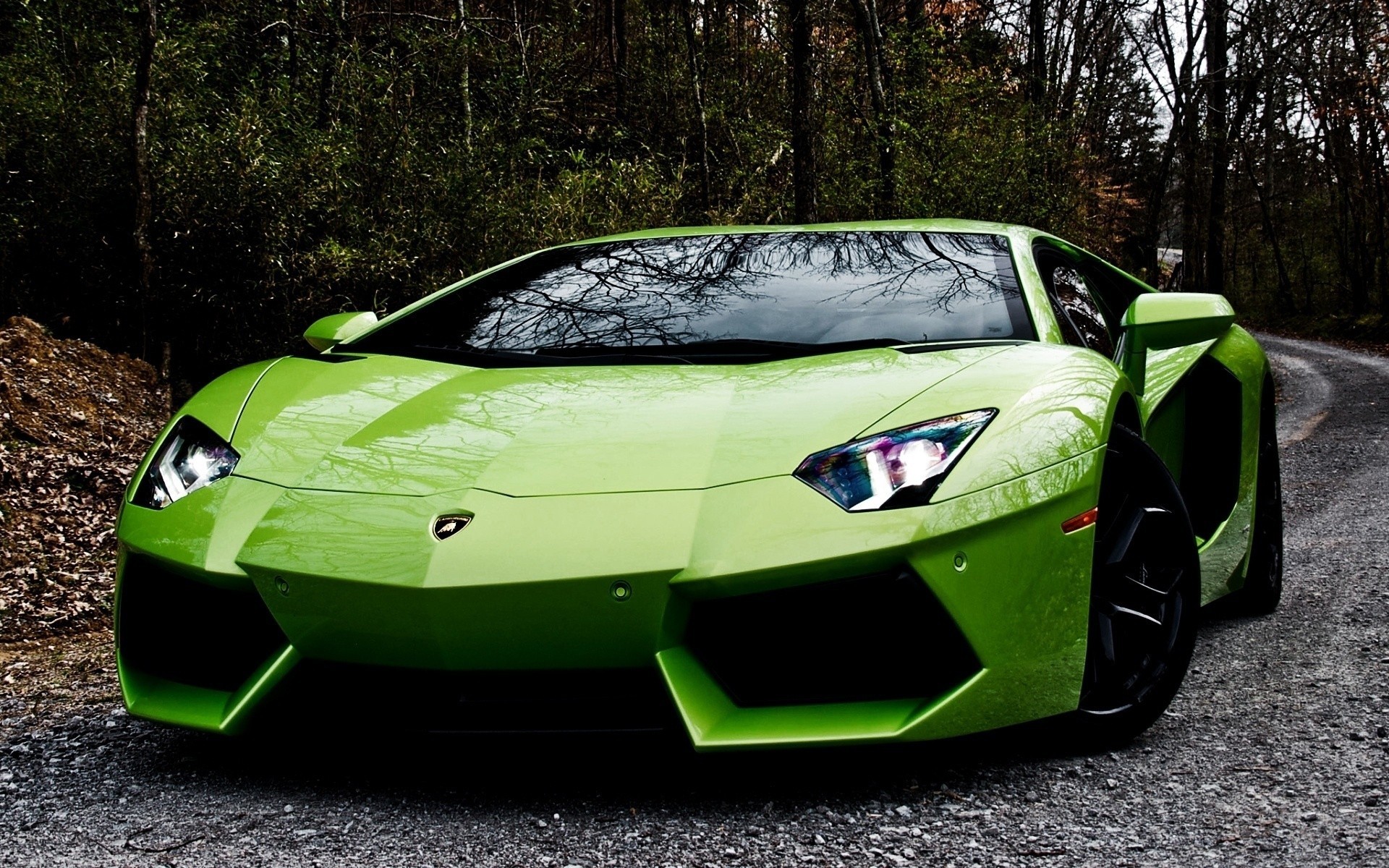 mig-15 lamborghini aventador route voiture forêt gris