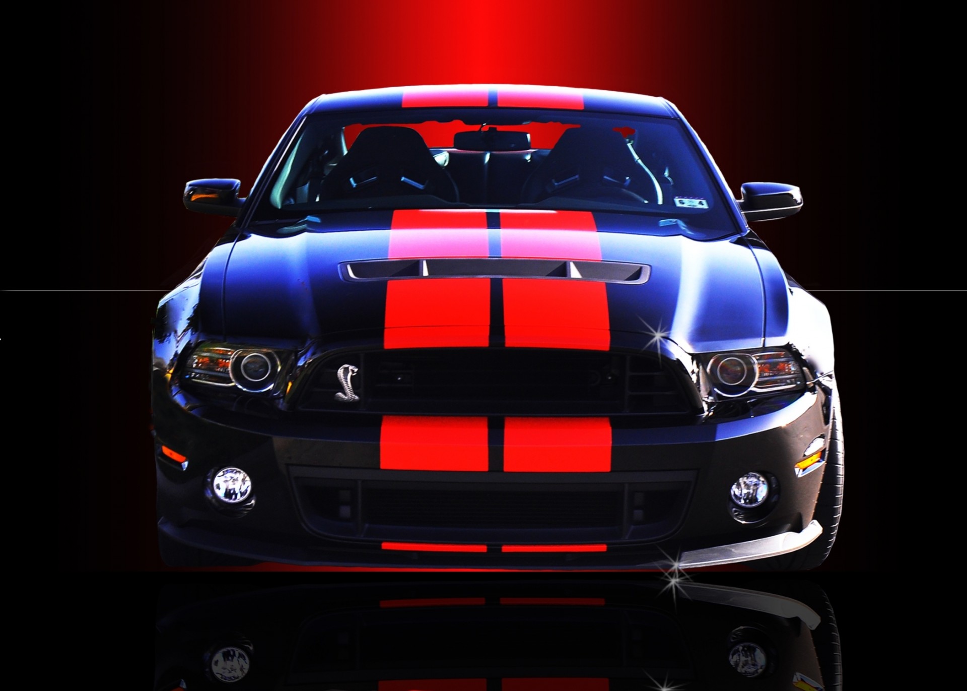 mustang cobra dziecko ford