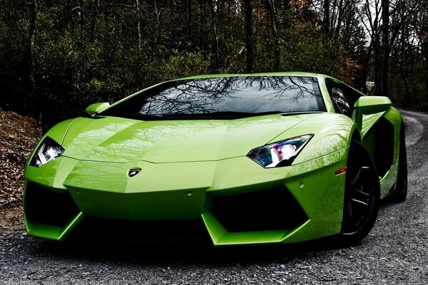 Un Lambo vert dans un terrain verdoyant