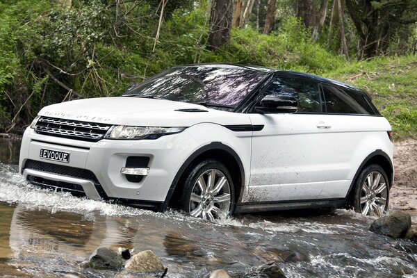 SUV ranger coupe crosses the forest river