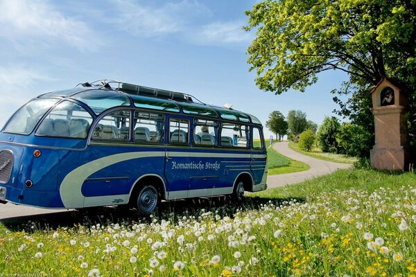 Blue bus traveling on a serpentine