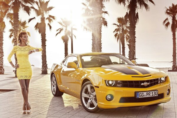 Two sports cars on the background of the beach