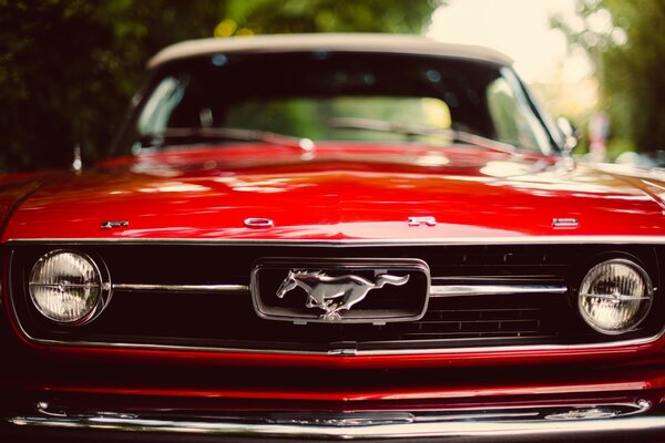Roter, klassischer Mustang Nahaufnahme