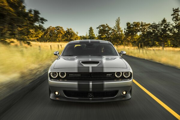 Grey sports car on the road