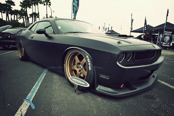 Strict view of the black Mustang