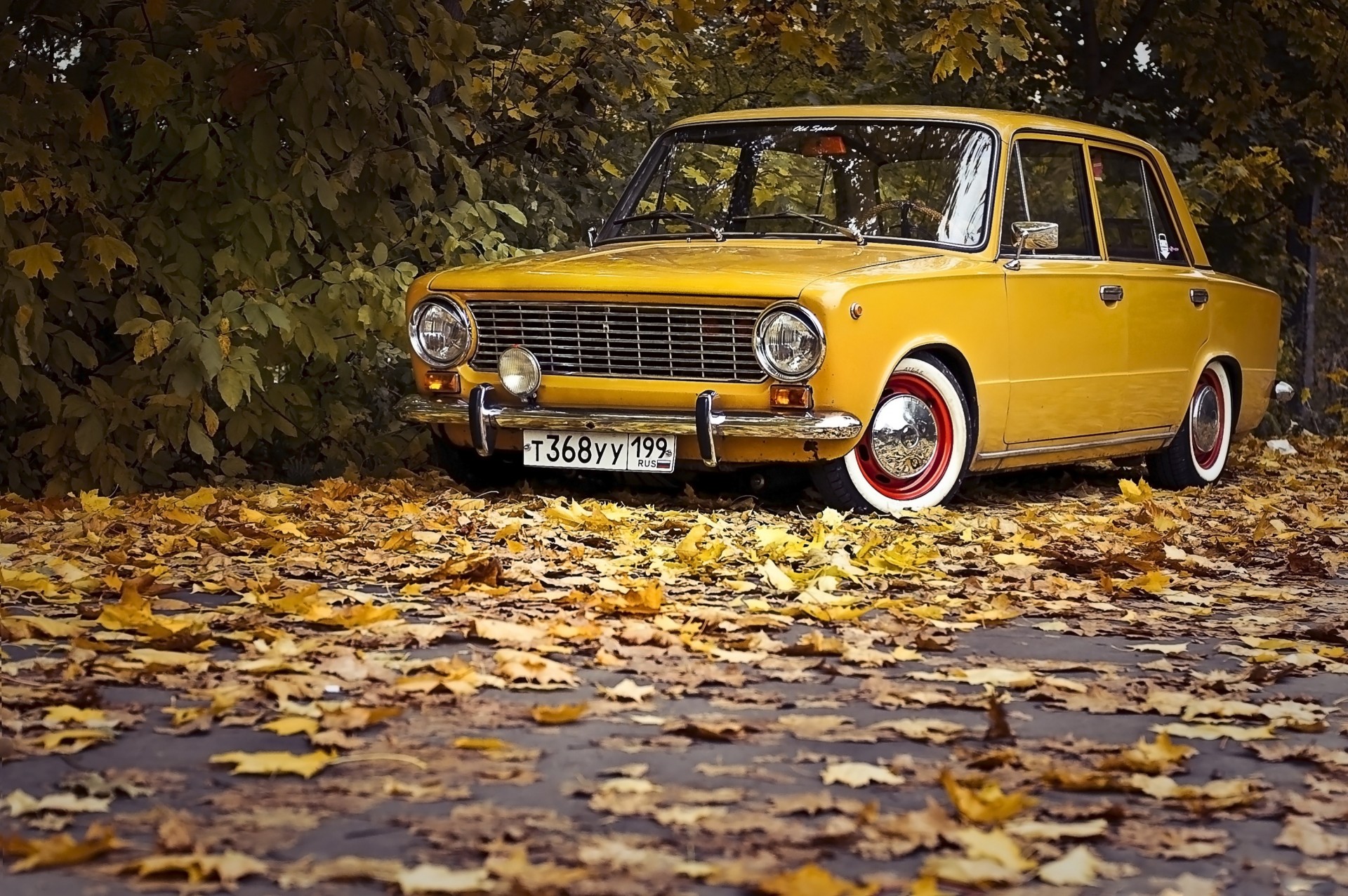 liść klasyczny retro jesień auto vaz zhiguli