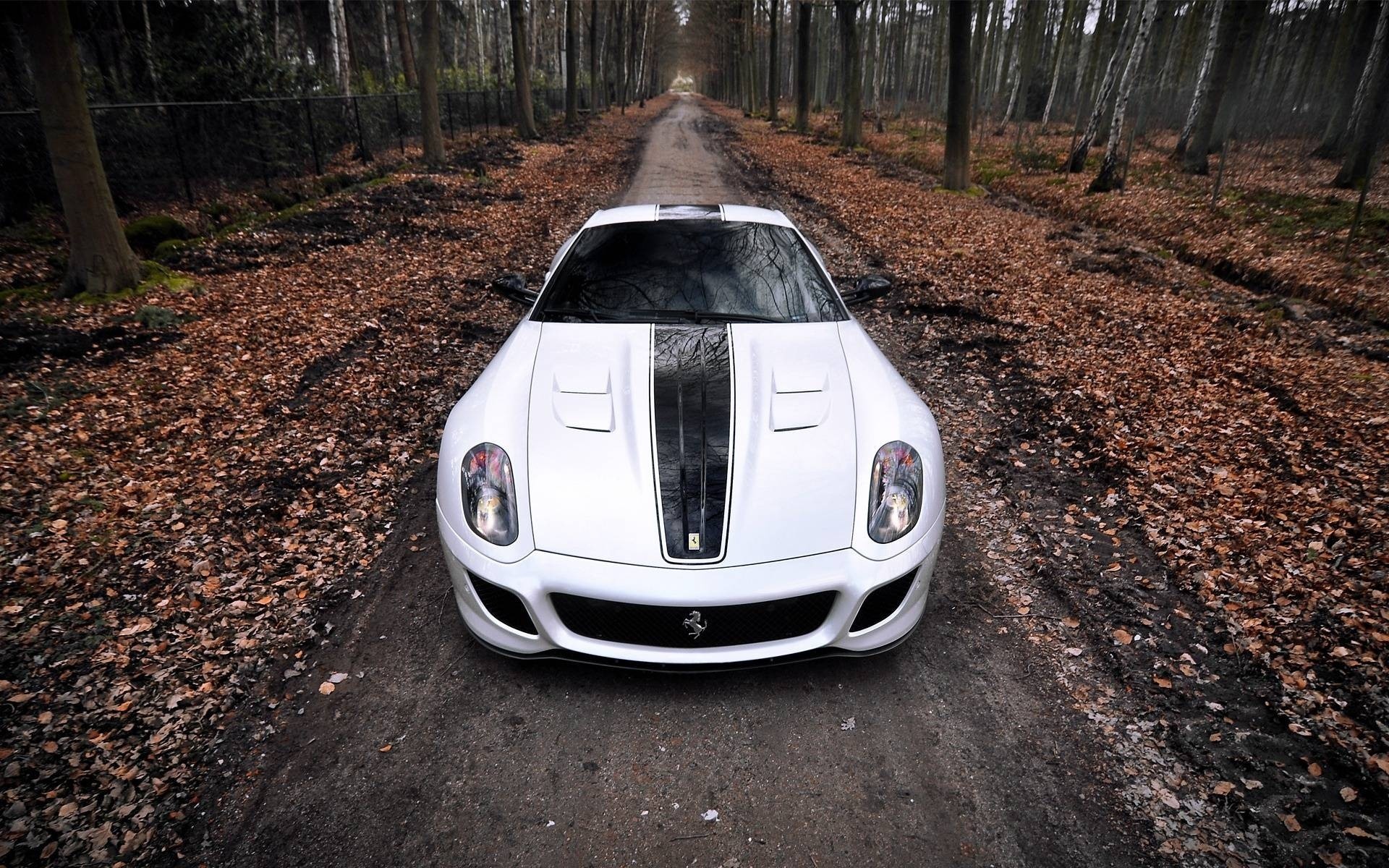 wald auto spaß ferrari