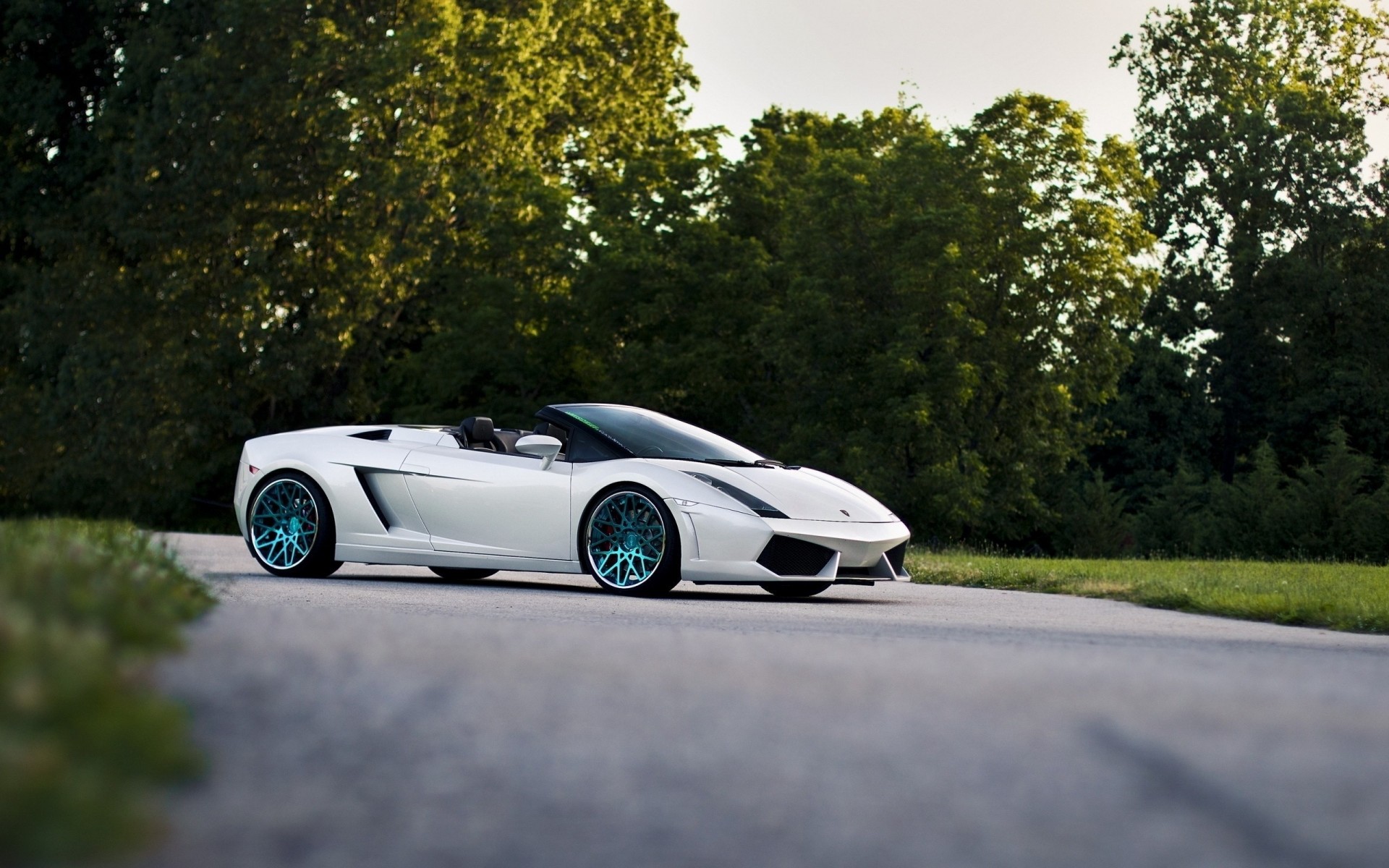 strada auto alberi lamborghini