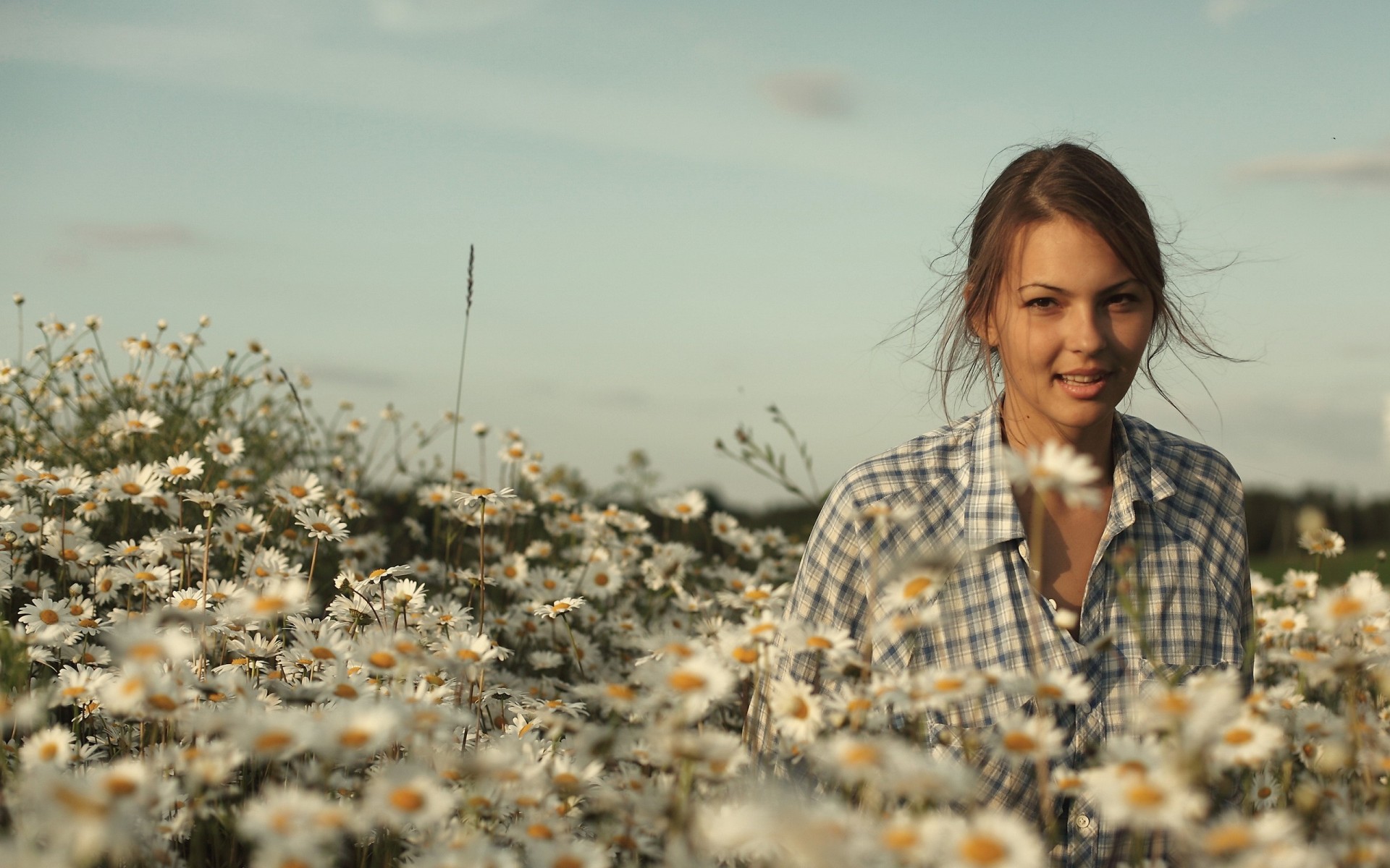 marguerites champ