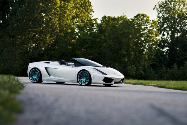 Sulla strada tra gli alberi guidato auto lamborghini