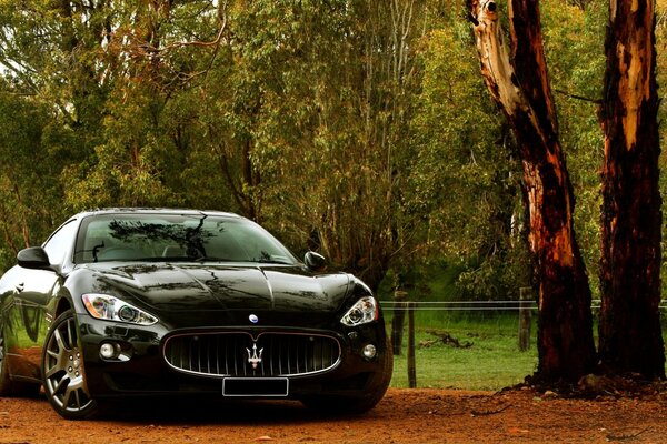 Чёрный спорткар купе maserati granturismo на фоне природы