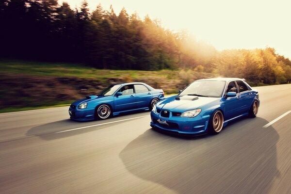 Zwei blaue Subaru auf Geschwindigkeit. Der Wald und die helle Sonne