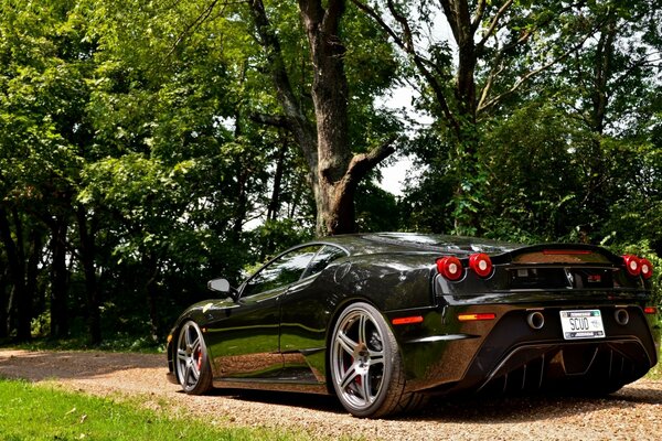 Voiture de sport italienne dans la forêt