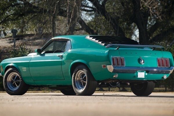 Voiture Ford Mustang, vue arrière se trouve sous l arbre