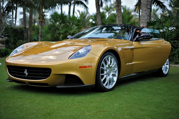 Yellow car on the lawn under the palm trees