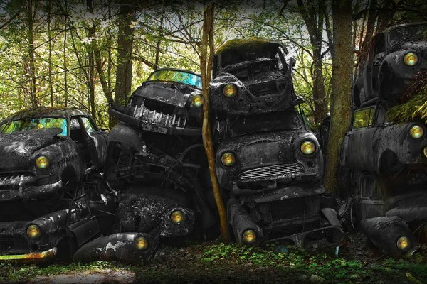 Dump of old black cars in the forest