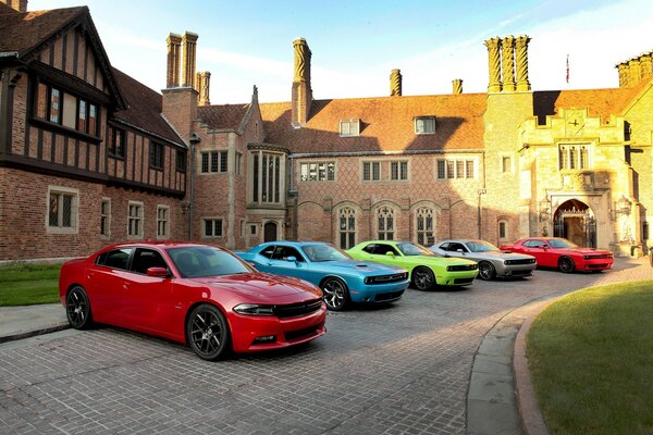 Colección de coches en el patio de la finca