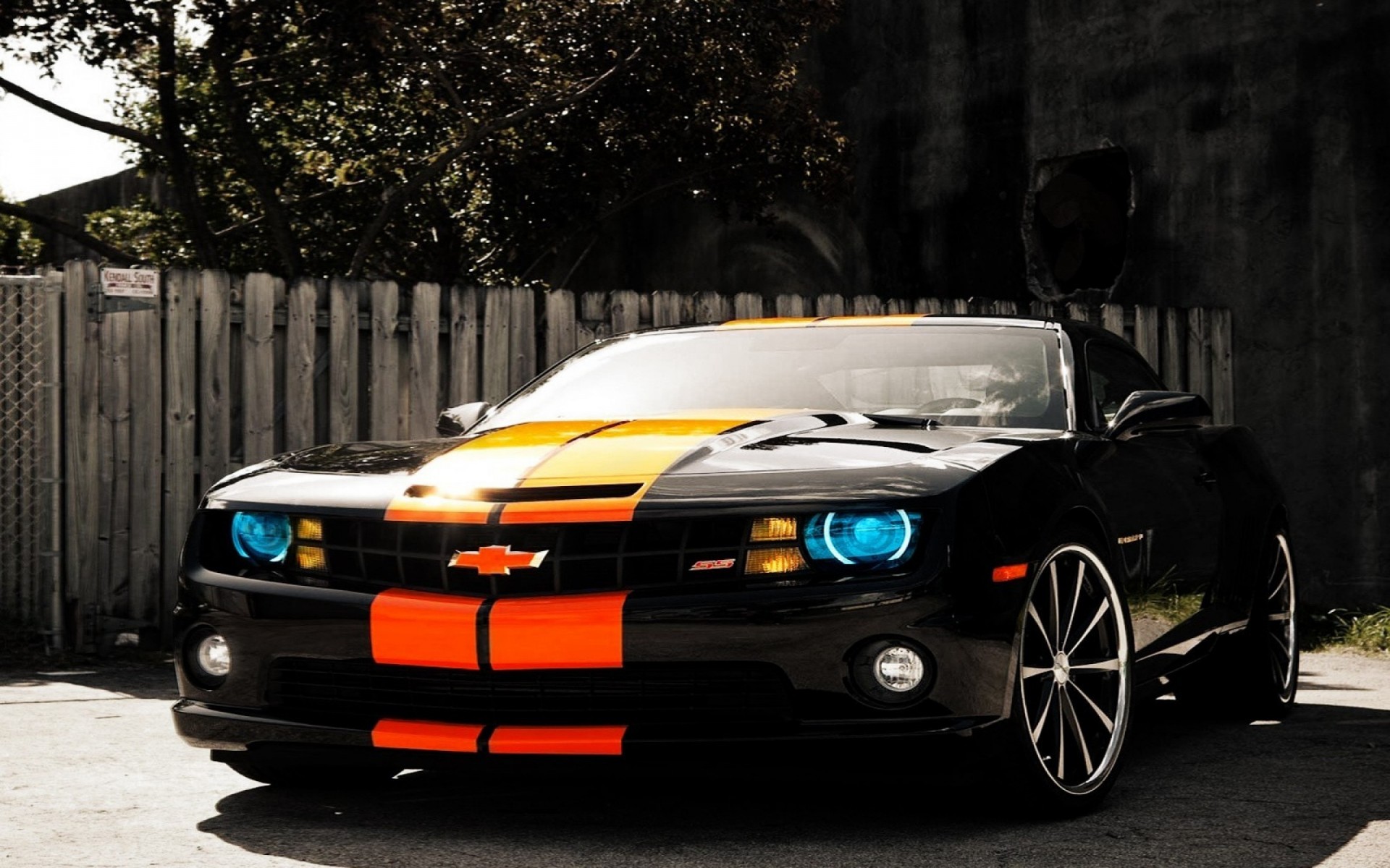 chevrolet camaro camaro black vehicle