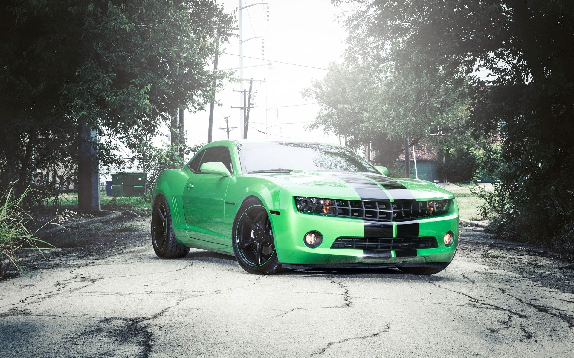 tuning arbres herbe corvette camaro auto voitures