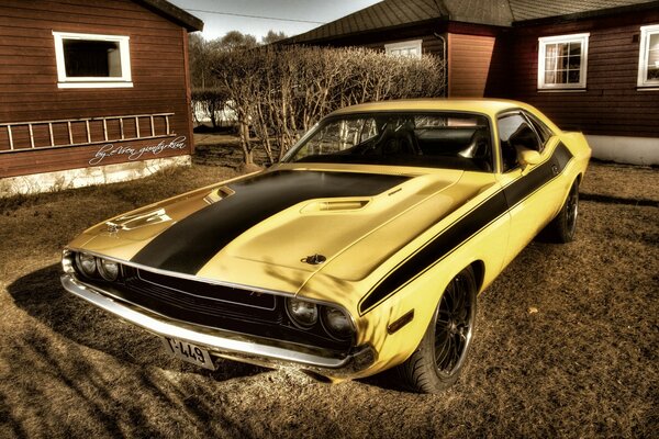 Yellow car on the background of rural hinterland