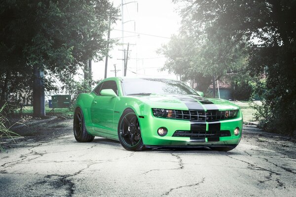 Green American car on the road