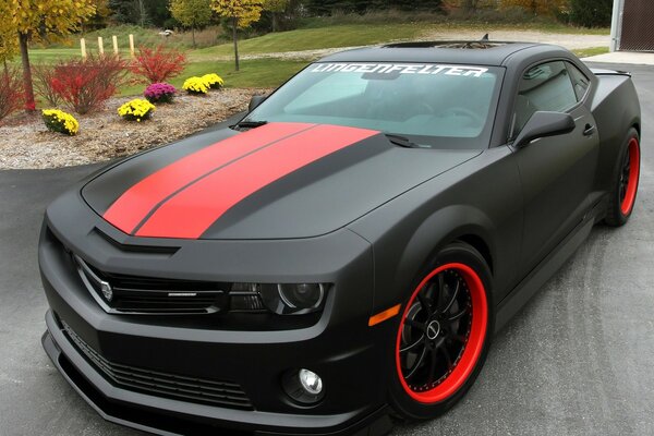 Black and red Chevrolet Camaro in the parking lot at the flower bed